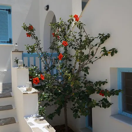 Apartment Porto Rondo *